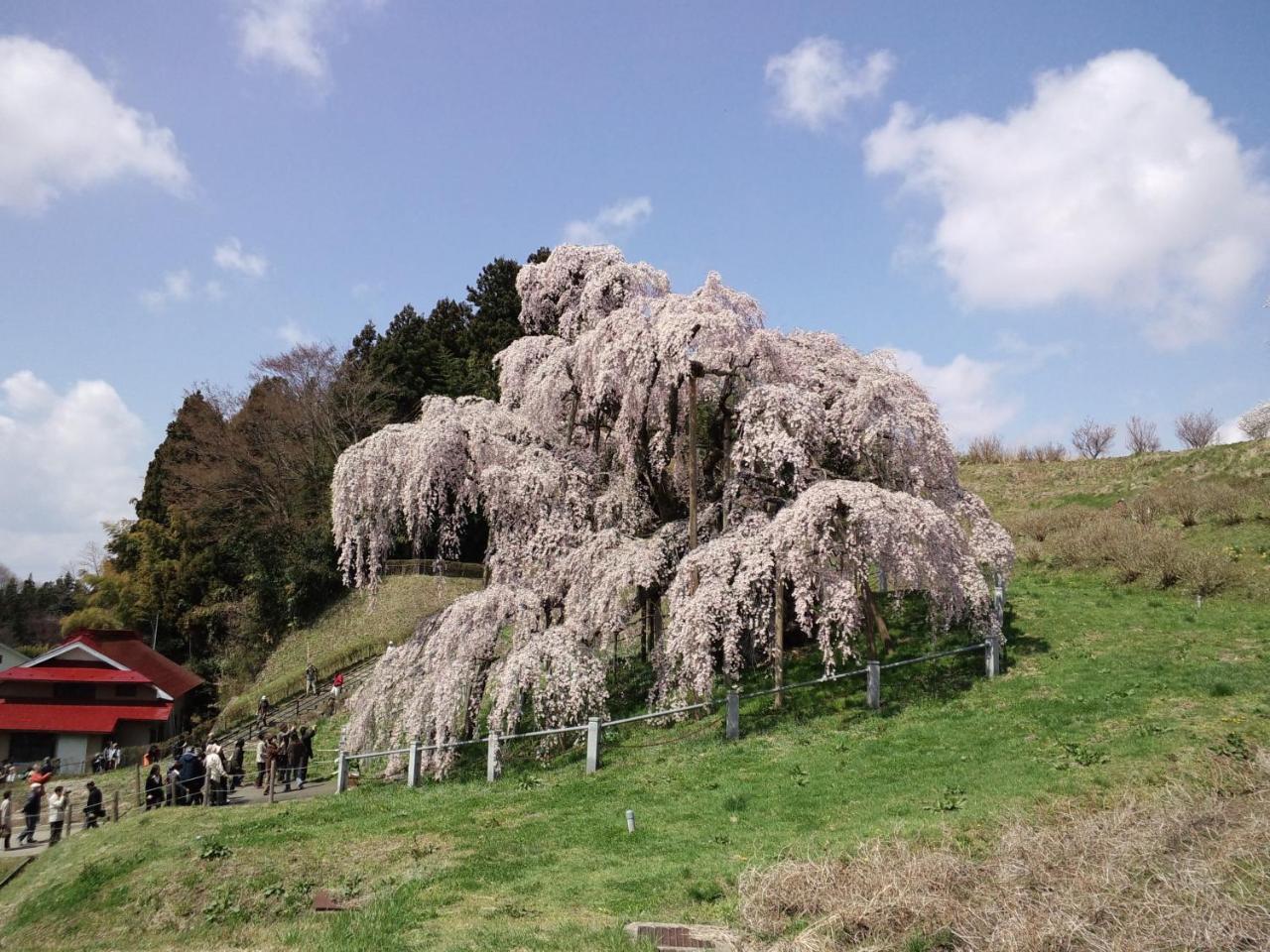 Azumakan Nihonmatsu Luaran gambar